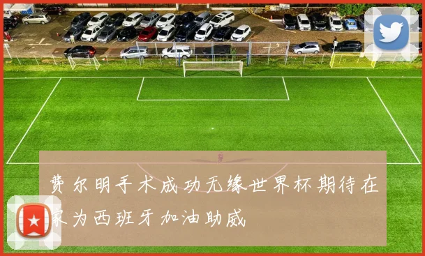 费尔明手术成功无缘世界杯期待在家为西班牙加油助威