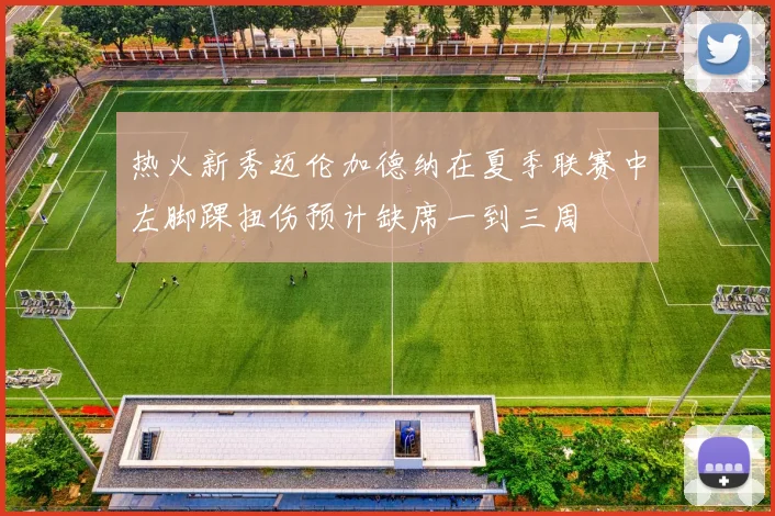 热火新秀迈伦加德纳在夏季联赛中左脚踝扭伤预计缺席一到三周