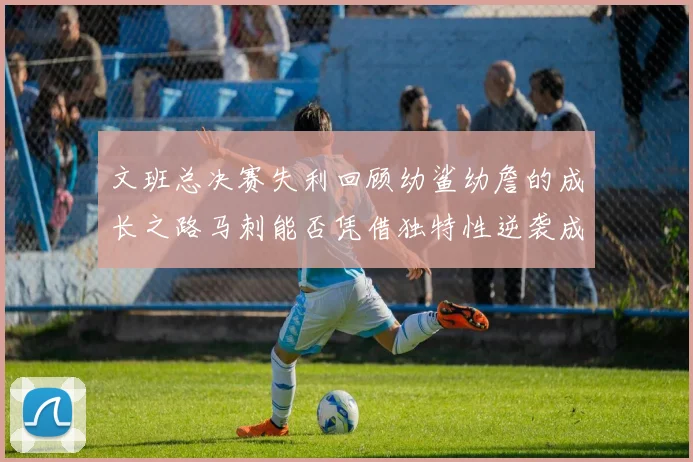 文班总决赛失利回顾幼鲨幼詹的成长之路马刺能否凭借独特性逆袭成功
